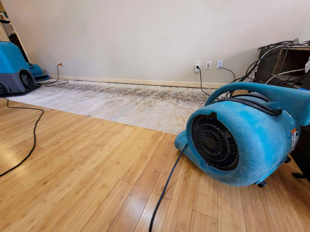 Professional Burst Pipe Water Damage technician working in Waynesfield, OH